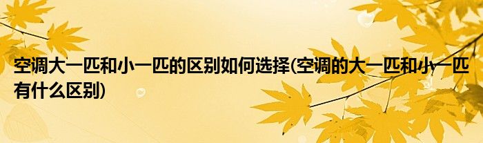 空调大一匹和小一匹的区别如何选择(空调的大一匹和小一匹有什么区别)