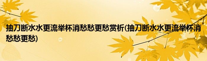 抽刀断水水更流举杯消愁愁更愁赏析(抽刀断水水更流举杯消愁愁更愁)
