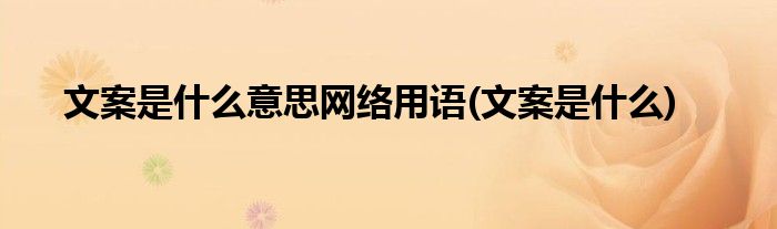 文案是什么意思网络用语(文案是什么)
