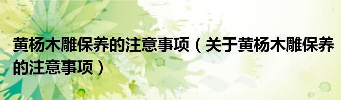 黄杨木雕保养的注意事项（关于黄杨木雕保养的注意事项）