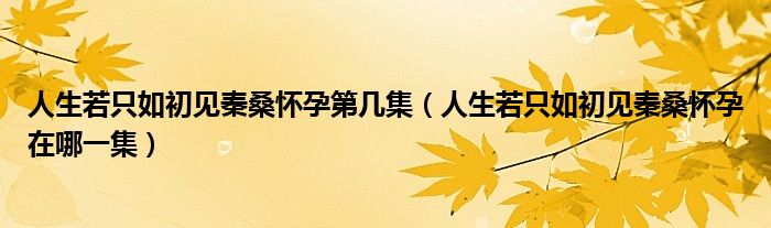 人生若只如初见秦桑怀孕第几集（人生若只如初见秦桑怀孕在哪一集）