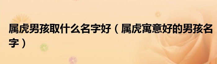 属虎男孩取什么名字好（属虎寓意好的男孩名字）