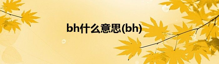bh什么意思(bh)
