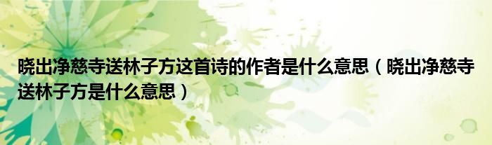 晓出净慈寺送林子方这首诗的作者是什么意思（晓出净慈寺送林子方是什么意思）