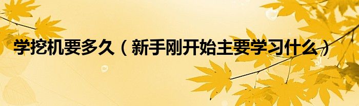 学挖机要多久（新手刚开始主要学习什么）