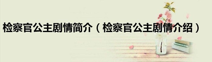 检察官公主剧情简介（检察官公主剧情介绍）