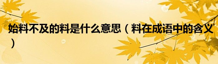 始料不及的料是什么意思（料在成语中的含义）