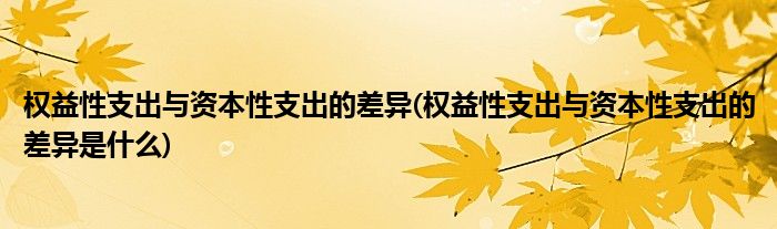 权益性支出与资本性支出的差异(权益性支出与资本性支出的差异是什么)