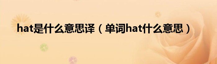 hat是什么意思译（单词hat什么意思）