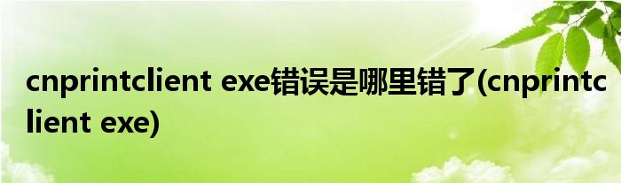 cnprintclient exe错误是哪里错了(cnprintclient exe)