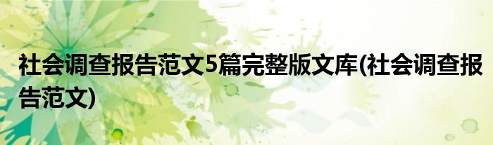 社会调查报告范文5篇完整版文库(社会调查报告范文)
