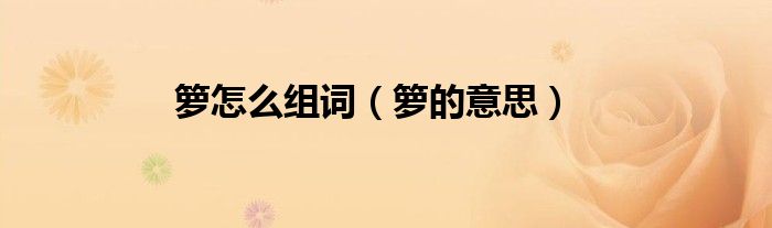 箩怎么组词（箩的意思）