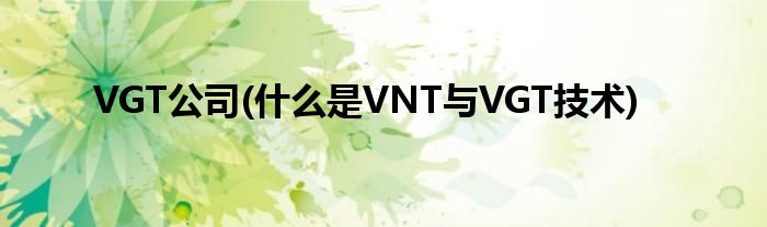 VGT公司(什么是VNT与VGT技术)