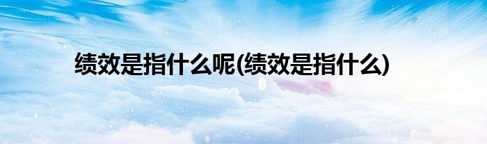 绩效是指什么呢(绩效是指什么)