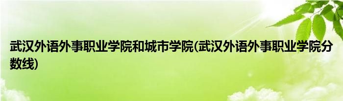 武汉外语外事职业学院和城市学院(武汉外语外事职业学院分数线)