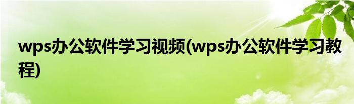 wps办公软件学习视频(wps办公软件学习教程)