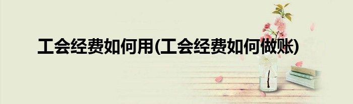 工会经费如何用(工会经费如何做账)