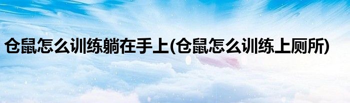 仓鼠怎么训练躺在手上(仓鼠怎么训练上厕所)