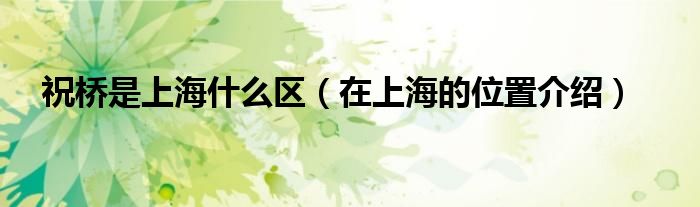 祝桥是上海什么区（在上海的位置介绍）