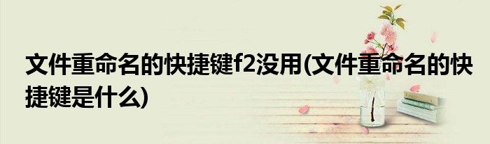 文件重命名的快捷键f2没用(文件重命名的快捷键是什么)