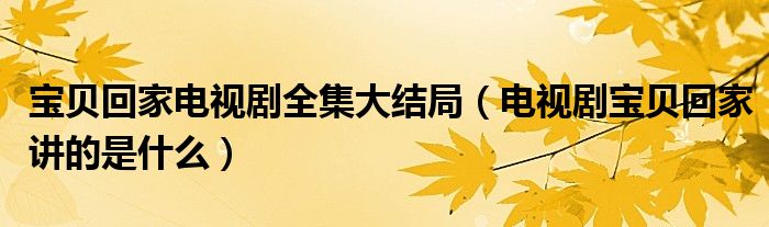 宝贝回家电视剧全集大结局（电视剧宝贝回家讲的是什么）