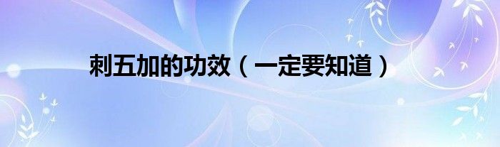 刺五加的功效（一定要知道）