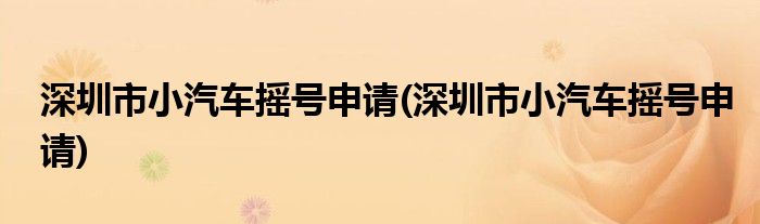 深圳市小汽车摇号申请(深圳市小汽车摇号申请)