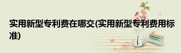 实用新型专利费在哪交(实用新型专利费用标准)