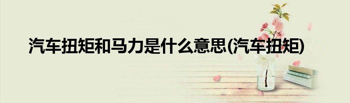 汽车扭矩和马力是什么意思(汽车扭矩)