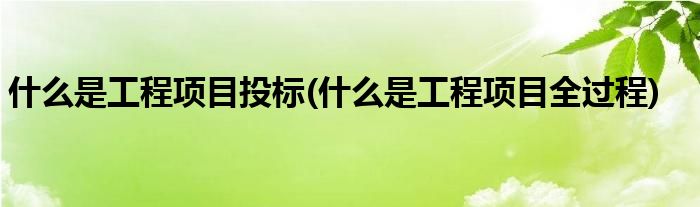什么是工程项目投标(什么是工程项目全过程)