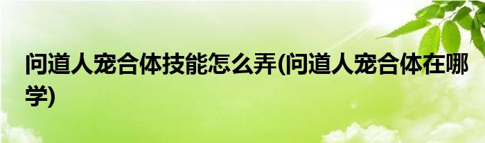 问道人宠合体技能怎么弄(问道人宠合体在哪学)