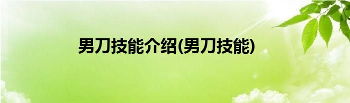 男刀技能介绍(男刀技能)