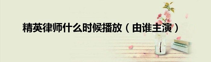 精英律师什么时候播放（由谁主演）