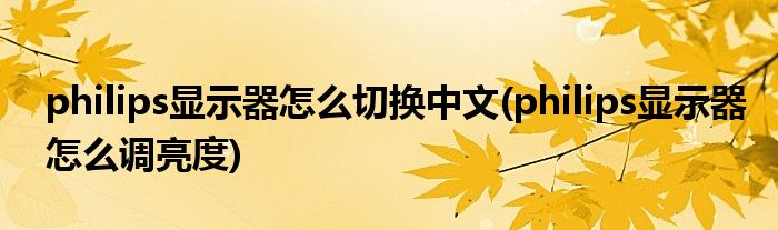 philips显示器怎么切换中文(philips显示器怎么调亮度)