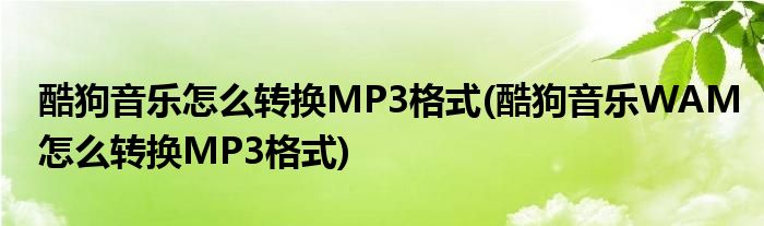 酷狗音乐怎么转换MP3格式(酷狗音乐WAM怎么转换MP3格式)