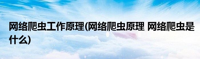 网站爬虫是什么意思