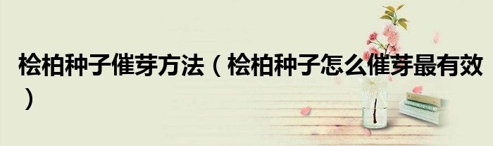 桧柏种子催芽方法（桧柏种子怎么催芽最有效）