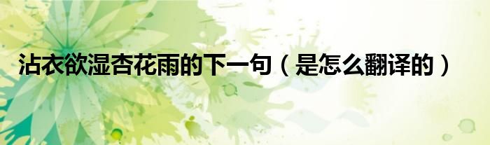 沾衣欲湿杏花雨的下一句（是怎么翻译的）