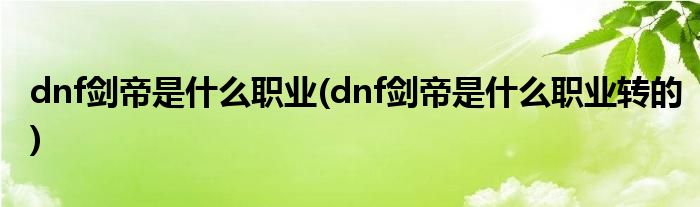 dnf剑帝是什么职业(dnf剑帝是什么职业转的)