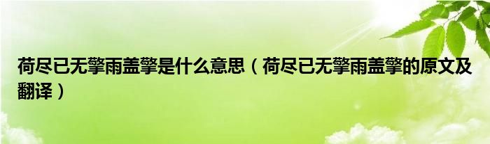 荷尽已无擎雨盖擎是什么意思（荷尽已无擎雨盖擎的原文及翻译）