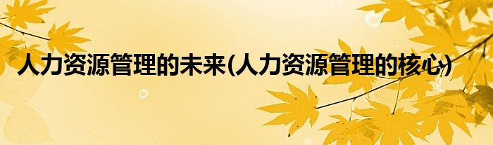 人力资源管理的未来(人力资源管理的核心)