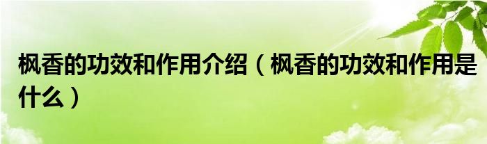 枫香的功效和作用介绍（枫香的功效和作用是什么）