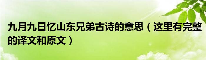 九月九日忆山东兄弟古诗的意思（这里有完整的译文和原文）