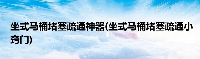 坐式马桶堵塞疏通神器(坐式马桶堵塞疏通小窍门)