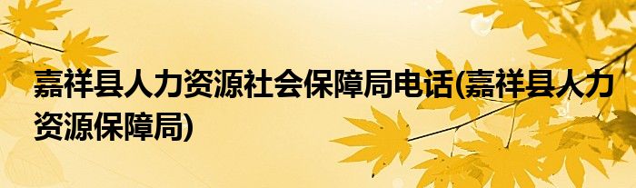 嘉祥县人力资源社会保障局电话(嘉祥县人力资源保障局)