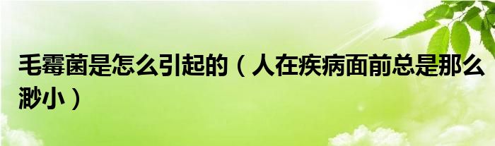 毛霉菌是怎么引起的（人在疾病面前总是那么渺小）