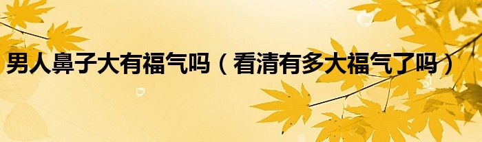 男人鼻子大有福气吗（看清有多大福气了吗）