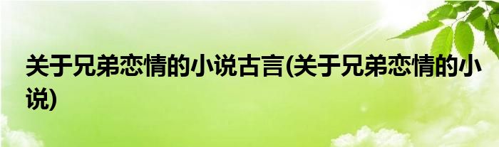 关于兄弟恋情的小说古言(关于兄弟恋情的小说)