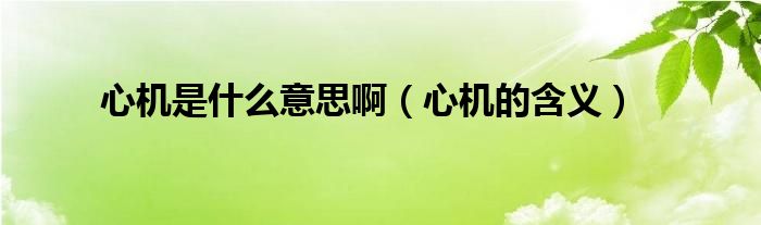 心机是什么意思啊（心机的含义）