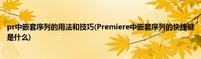 pr中嵌套序列的用法和技巧(Premiere中嵌套序列的快捷键是什么)
